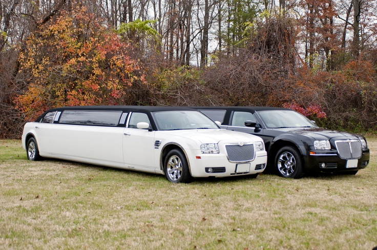 White and black stretch limousines parked outdoors
