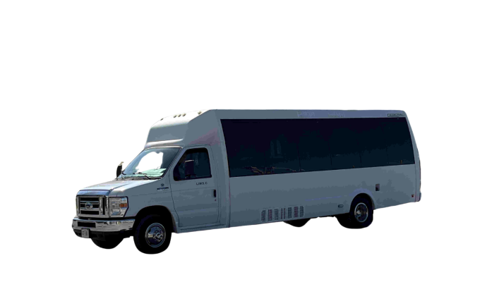 Limo Bus 20 Passengers